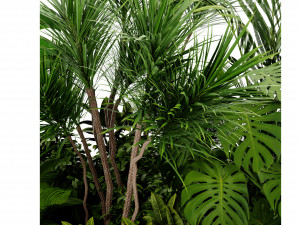 Collection Plant Vol 450 - Blender Model Modèle 3D