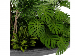 Collection Plant Vol 450 - Blender Model Modèle 3D