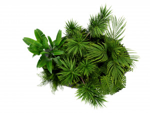 Collection Plant Vol 450 - Blender Model Modèle 3D