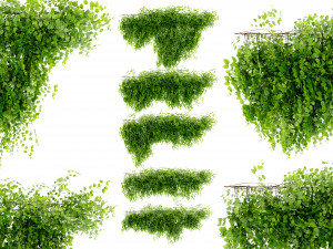 Collection Plant Vol 451 - Blender Model 3D 모델