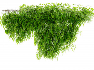 Collection Plant Vol 451 - Blender Model Modelo 3D
