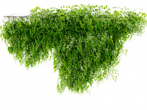 Collection Plant Vol 451 - Blender Model 3D Model