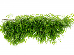 Collection Plant Vol 451 - Blender Model Modelo 3D