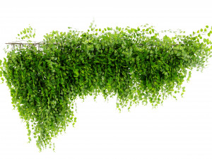 Collection Plant Vol 451 - Blender Model Modelo 3D
