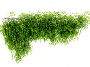 Collection Plant Vol 451 - Blender Model 3D Model