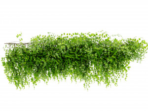 Collection Plant Vol 451 - Blender Model Modelo 3D