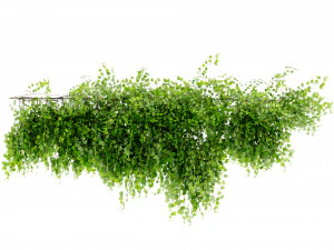 Collection Plant Vol 451 - Blender Model 3D Model