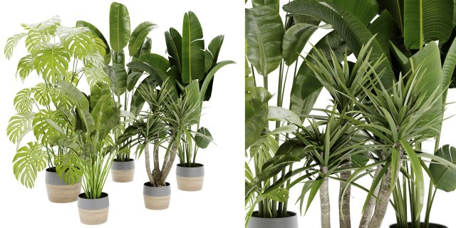 Collection Plant Vol 452 - Blender Model Modelo 3D .c4d .max .obj .3ds .fbx .stl .blend 
