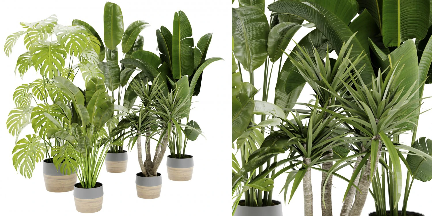 Collection Plant Vol 452 - Blender Model 3D Model .c4d .max .obj .3ds .fbx .stl .blend 