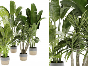 Collection Plant Vol 452 - Blender Model 3Dモデル