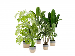 Collection Plant Vol 452 - Blender Model Modelo 3D