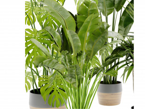 Collection Plant Vol 452 - Blender Model Modelo 3D