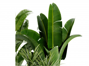 Collection Plant Vol 452 - Blender Model Modelo 3D