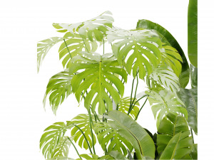 Collection Plant Vol 452 - Blender Model Modelo 3D