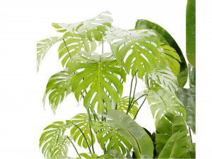 Collection Plant Vol 452 - Blender Model 3D Model