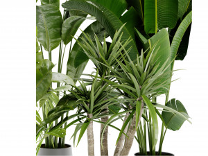Collection Plant Vol 452 - Blender Model Modelo 3D