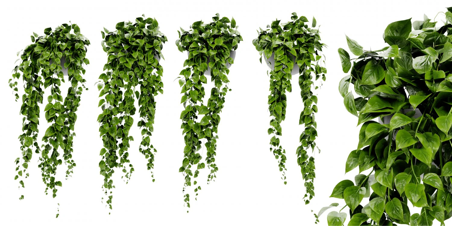 Collection Plant Vol 454 - Blender Model 3D Model .c4d .max .obj .3ds .fbx .stl .blend 