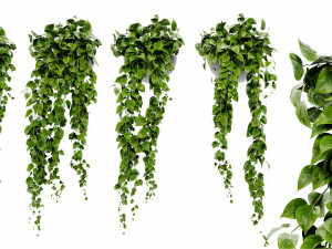 Collection Plant Vol 454 - Blender Model 3D Model