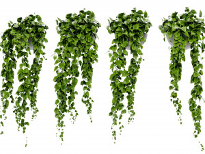 Collection Plant Vol 454 - Blender Model 3D 모델