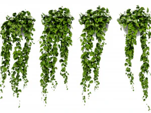 Collection Plant Vol 454 - Blender Model 3D Model