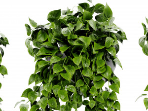 Collection Plant Vol 454 - Blender Model 3D 모델