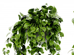 Collection Plant Vol 454 - Blender Model 3D Model