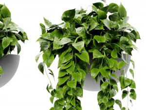 Collection Plant Vol 454 - Blender Model 3D Model