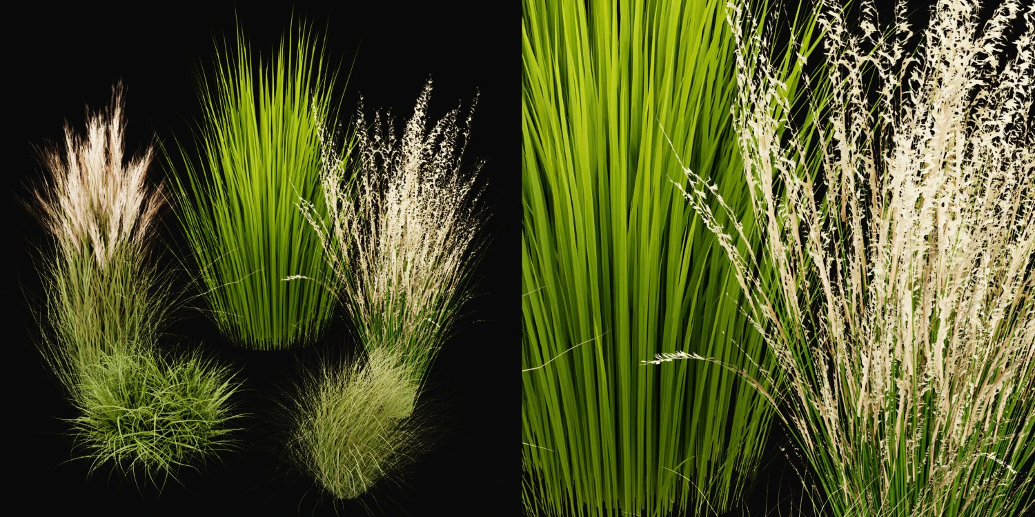 Collection Plant Vol 455 - Blender Model 3D Model .c4d .max .obj .3ds .fbx .stl .blend 