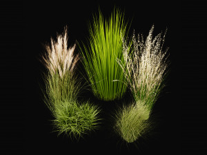 Collection Plant Vol 455 - Blender Model 3D-Modell