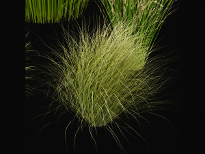 Collection Plant Vol 455 - Blender Model 3D-Modell