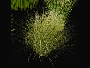 Collection Plant Vol 455 - Blender Model 3D Model