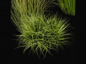 Collection Plant Vol 455 - Blender Model 3D-Modell