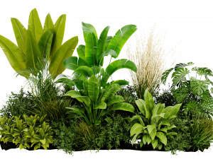 Collection Plant Vol 456 - Blender Model Modelo 3D