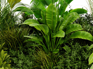 Collection Plant Vol 456 - Blender Model Modelo 3D