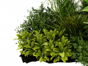 Collection Plant Vol 456 - Blender Model Modelo 3D
