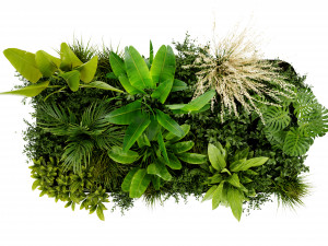 Collection Plant Vol 456 - Blender Model Modelo 3D