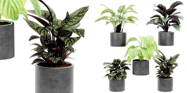 Collection Plant Vol 458 - Blender Model 3D Модель .c4d .max .obj .3ds .fbx .stl .blend 