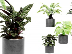 Коллекция Plant Vol 458 - Модель блендера 3D Модель