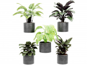 Collection Plant Vol 458 - Blender Model 3D Модель
