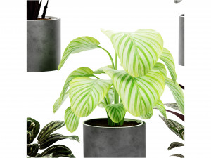 Collection Plant Vol 458 - Blender Model 3D Модель