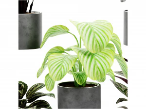 Collection Plant Vol 458 - Blender Model 3D Model