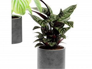 Collection Plant Vol 458 - Blender Model 3D Модель