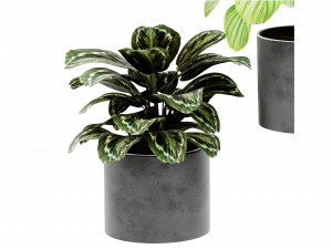 Collection Plant Vol 458 - Blender Model 3D Модель