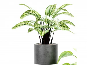 Collection Plant Vol 458 - Blender Model 3D Model