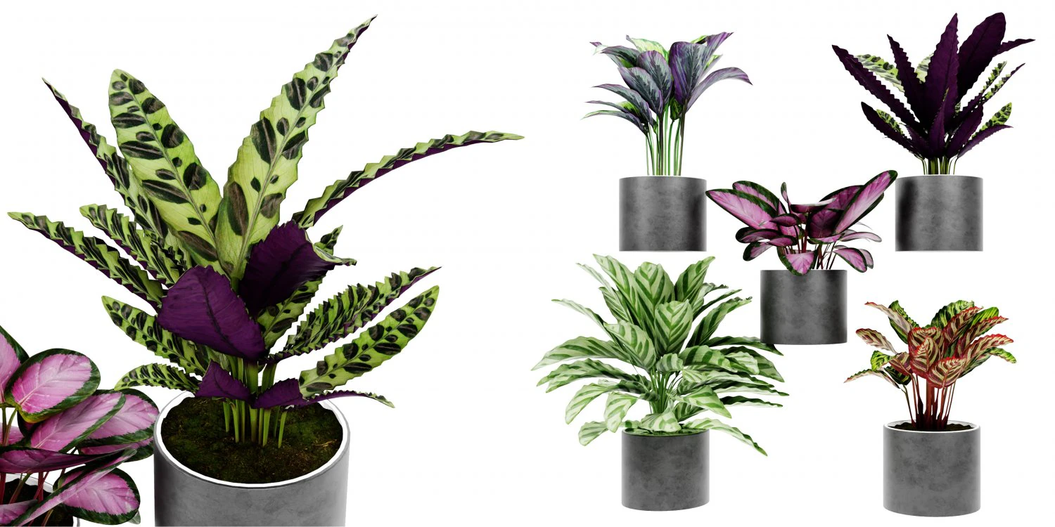Collection Plant Vol 459 - Blender Model 3D Model .c4d .max .obj .3ds .fbx .stl .blend 