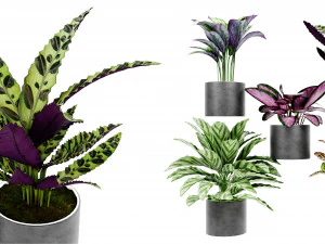 Collectie Plant Vol 459 - Blendermodel 3D Model