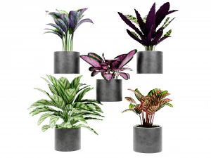 Collection Plant Vol 459 - Blender Model 3D Model
