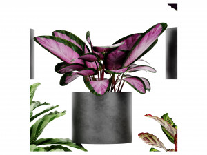 Collection Plant Vol 459 - Blender Model Model 3D