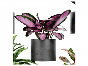 Collection Plant Vol 459 - Blender Model 3D Model