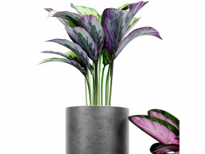 Collection Plant Vol 459 - Blender Model Model 3D